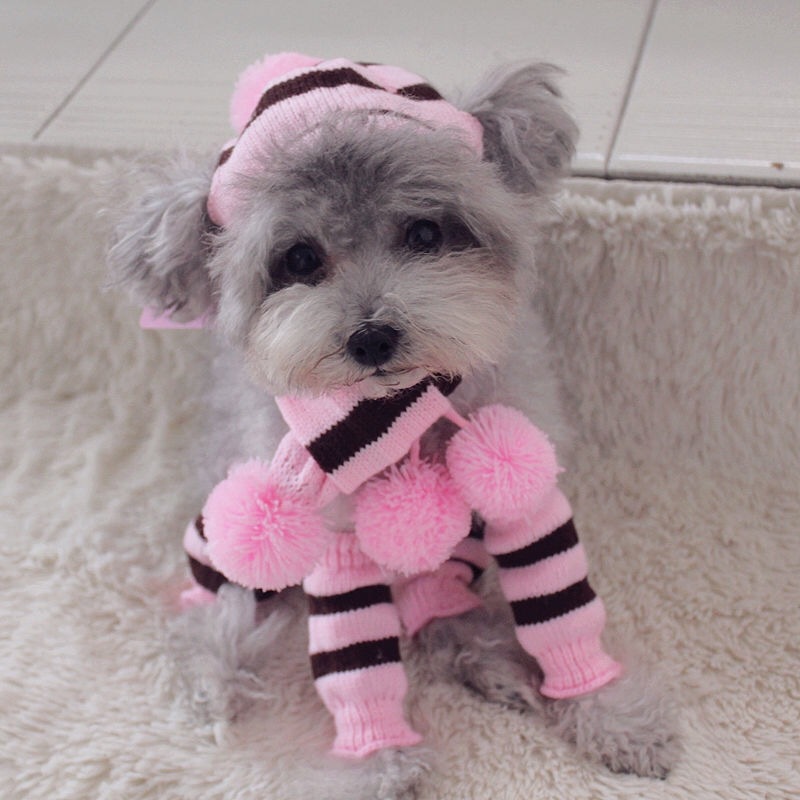 Вязаный зимний комплект для со – обзор и цена Winter Clothing Leg Warmers